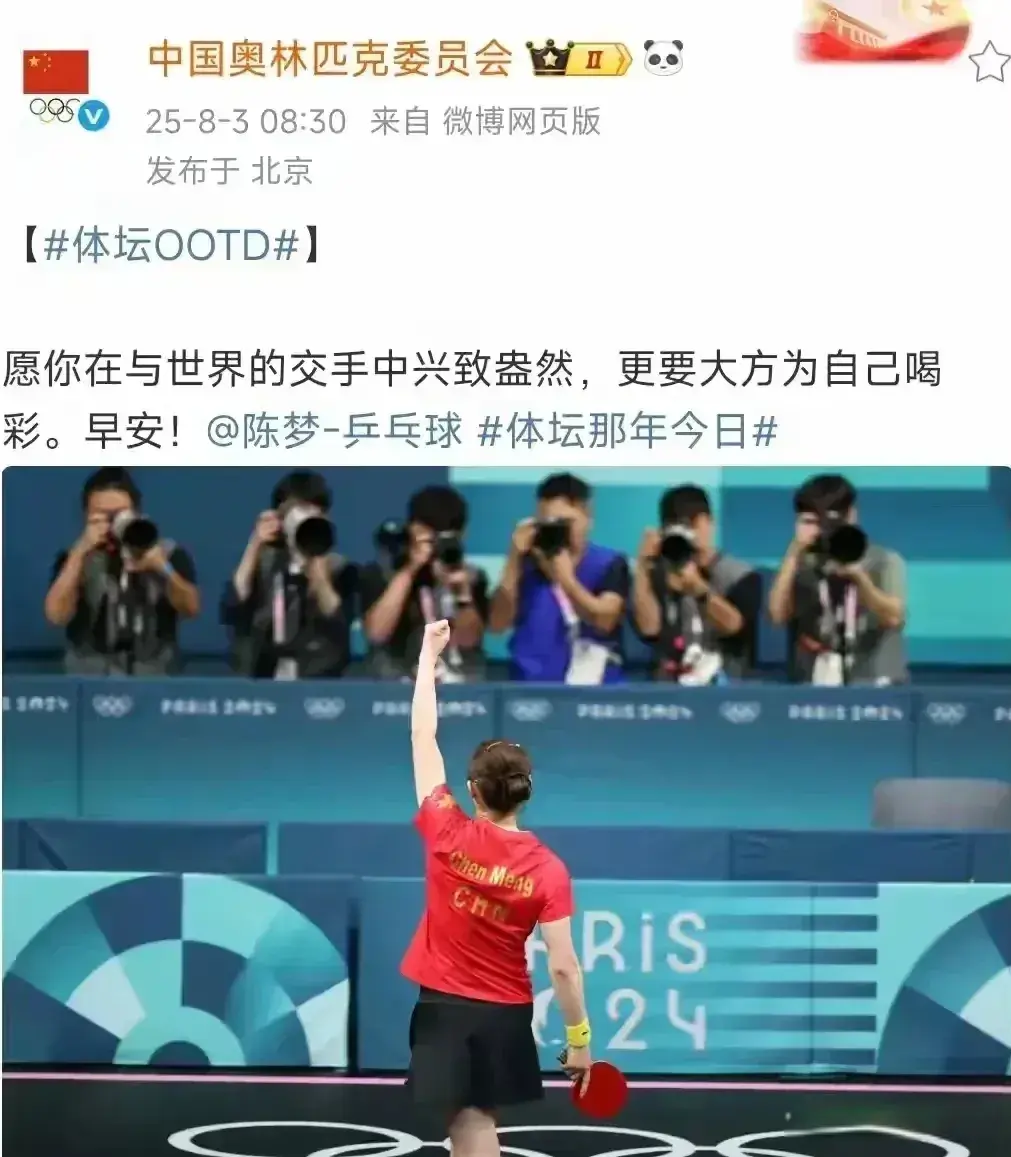 的辉煌时刻, 陈梦在乒乓, msn